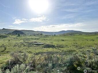 0 Lot 3 Gunsmoke Brewster WA 98812