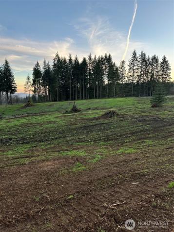 208 Suncrest Drive Castle Rock WA 98611
