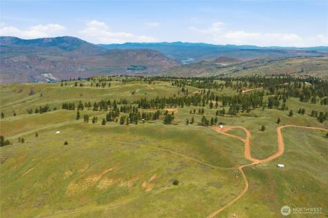 10 Alta Vista Way Waterville WA 98858