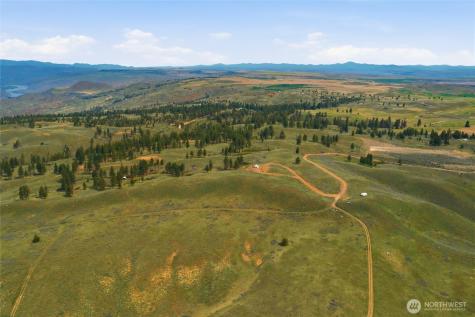 10 Alta Vista Way Waterville WA 98858
