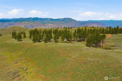 10 Alta Vista Way Waterville WA 98858
