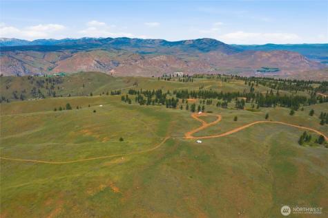 10 Alta Vista Way Waterville WA 98858