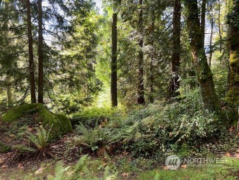 8900 144th Place SE Newcastle WA 98059