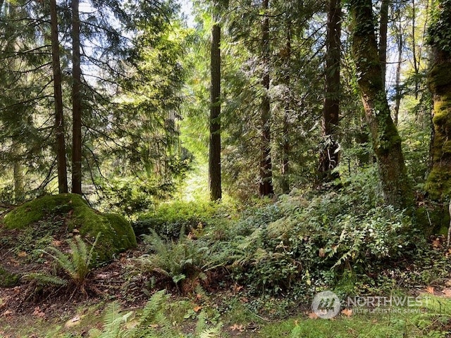 8900 144th Place SE Newcastle WA 98059