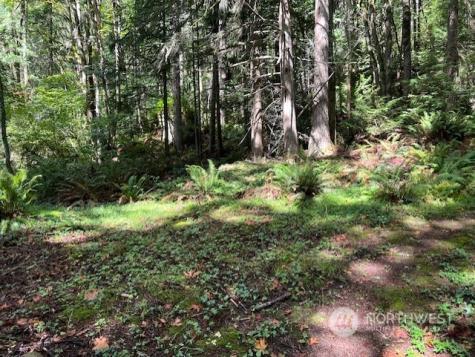 8900 144th Place SE Newcastle WA 98059