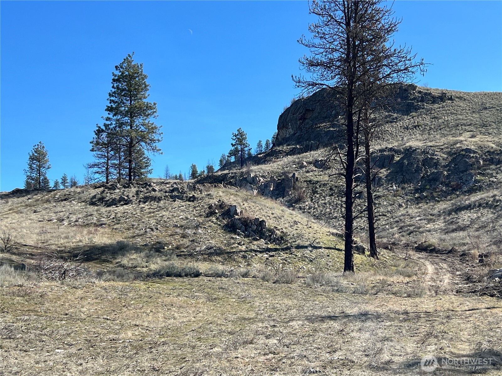 0 Soap Lake Road Malott WA 98829