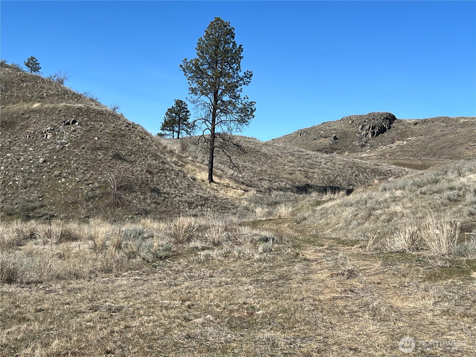 0 Soap Lake Road Malott WA 98829