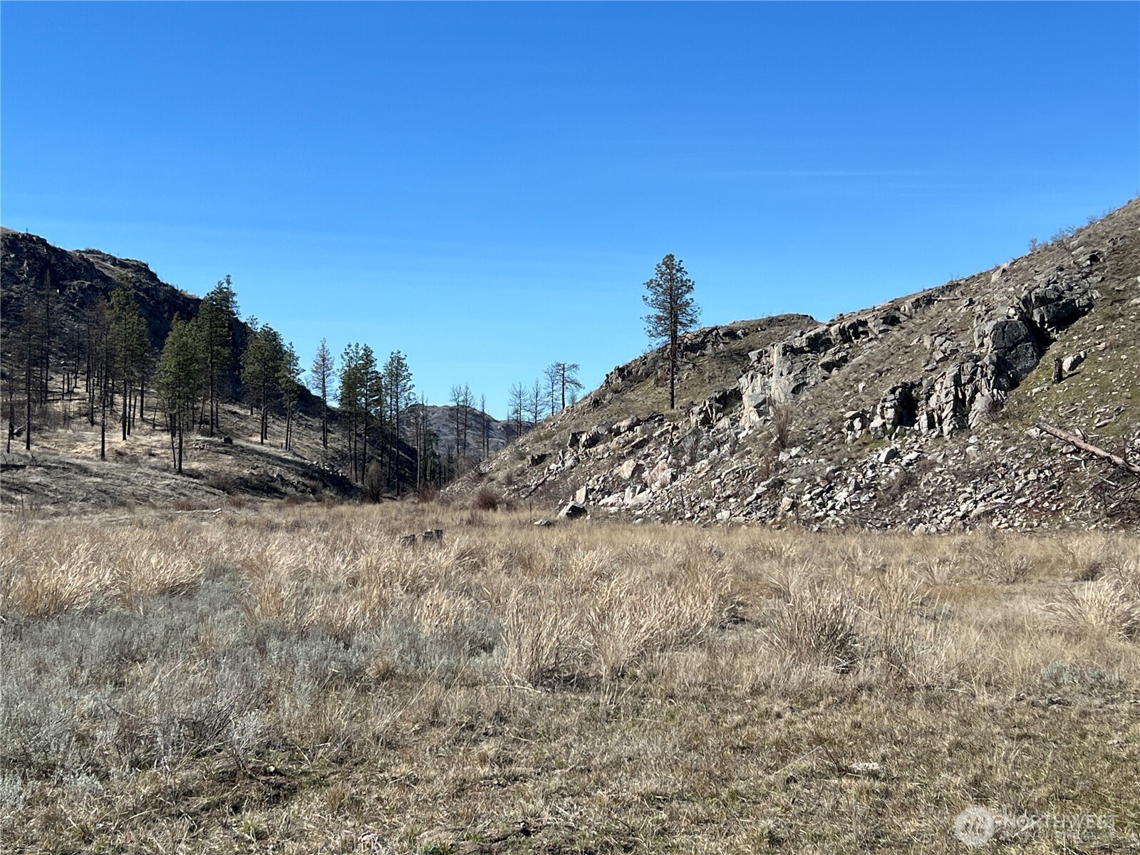 0 Soap Lake Road Malott WA 98829
