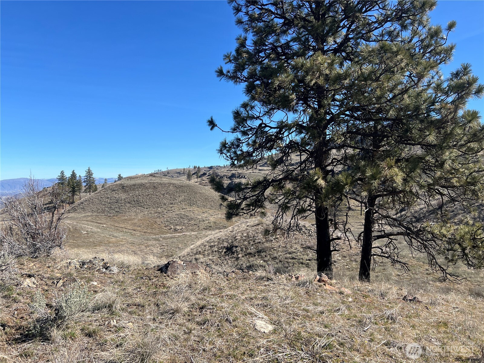0 Soap Lake Road Malott WA 98829
