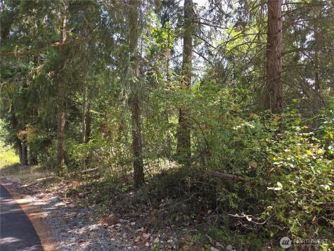 22137 Clear Lake Boulevard SE Yelm WA 98597
