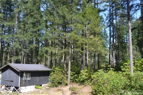 0 NE Collins (80 Collins Dr.) Drive Tahuya WA 98588