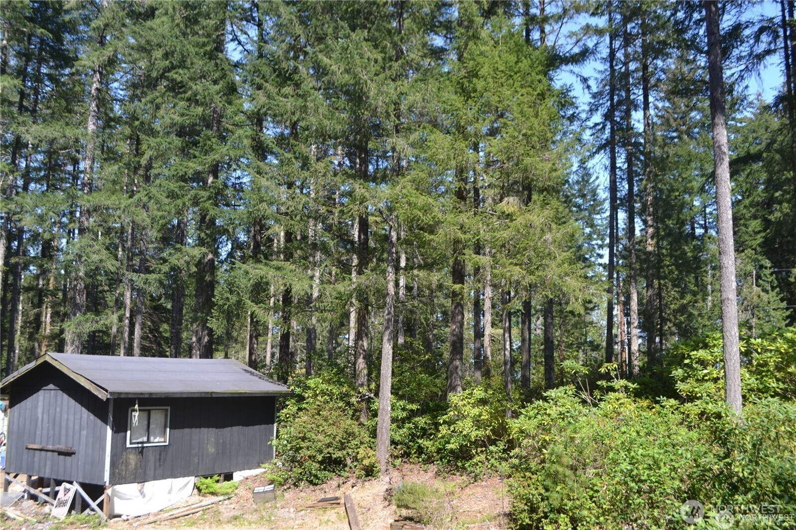 0 NE Collins (80 Collins Dr.) Drive Tahuya WA 98588