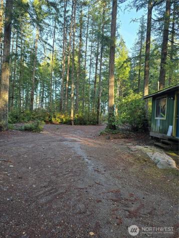 0 NE Collins (80 Collins Dr.) Drive Tahuya WA 98588