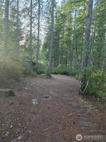 0 NE Collins (80 Collins Dr.) Drive Tahuya WA 98588