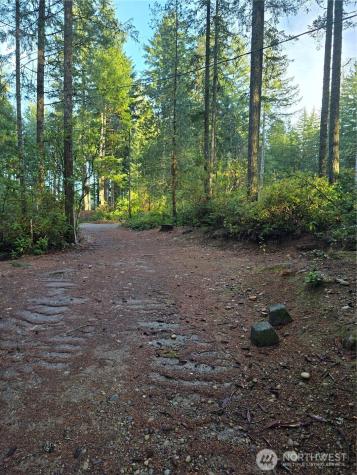 0 NE Collins (80 Collins Dr.) Drive Tahuya WA 98588