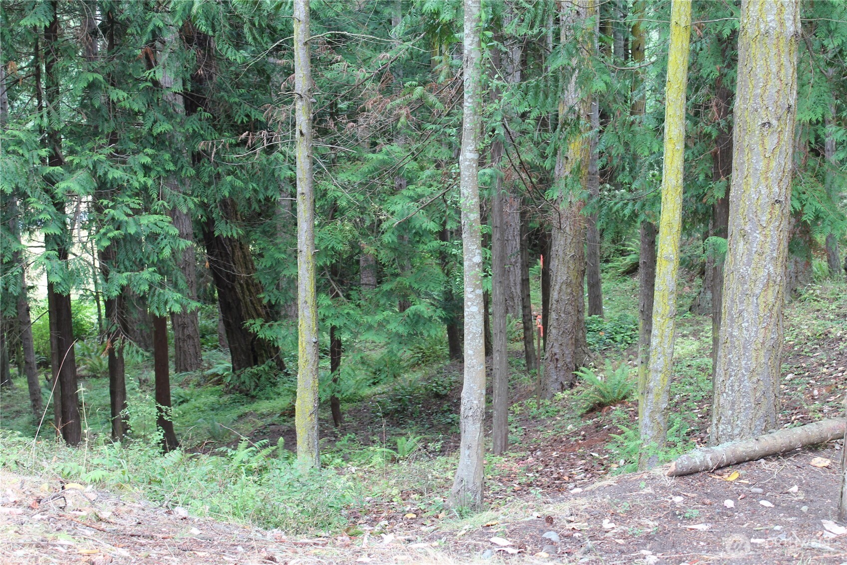 85 Quinault Loop Port Townsend WA 98368