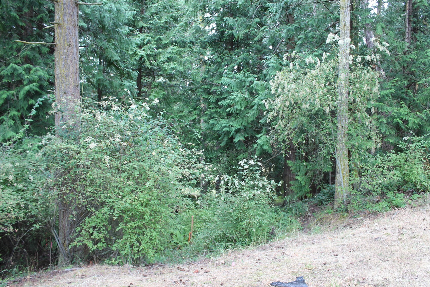 85 Quinault Loop Port Townsend WA 98368