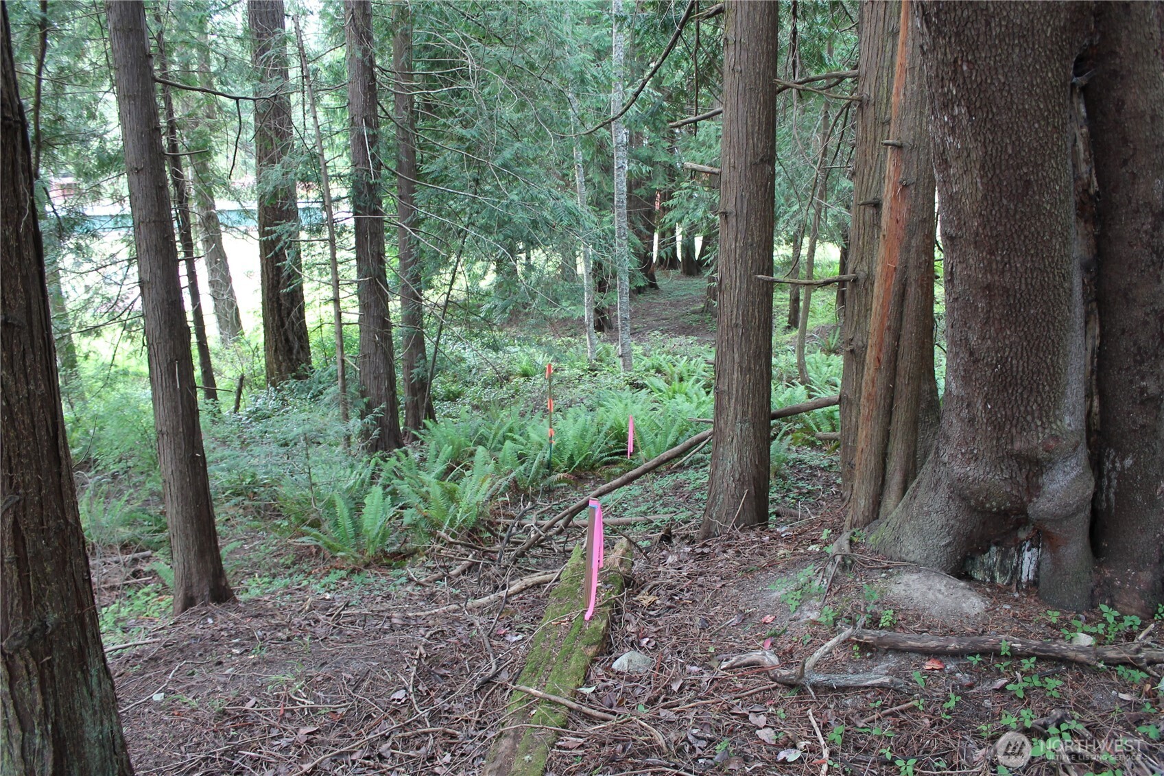85 Quinault Loop Port Townsend WA 98368