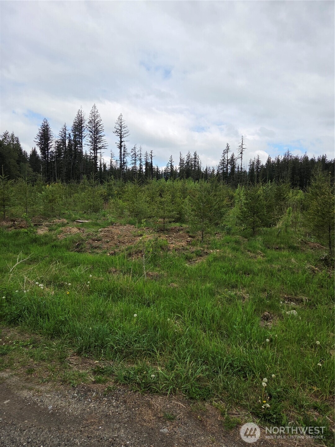 0 Windon Lane Maple Falls WA 98295