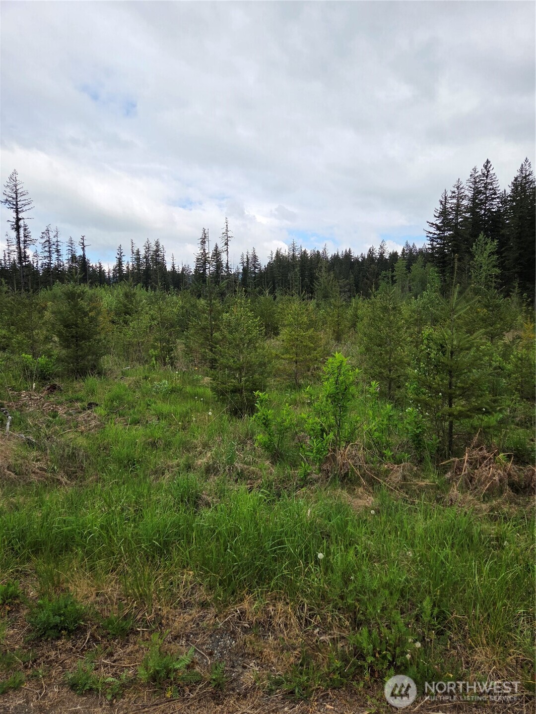 0 Windon Lane Maple Falls WA 98295
