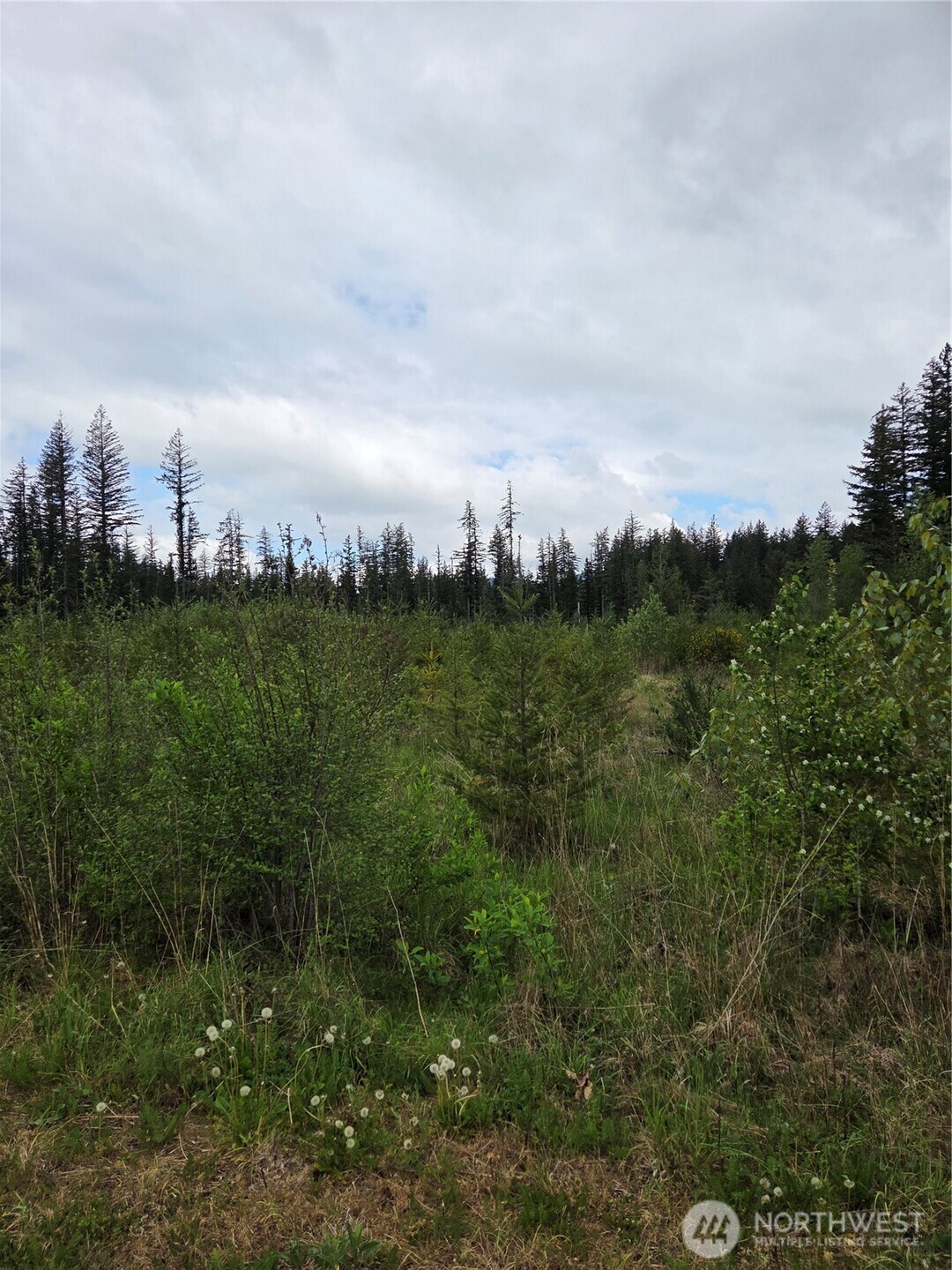 0 Windon Lane Maple Falls WA 98295
