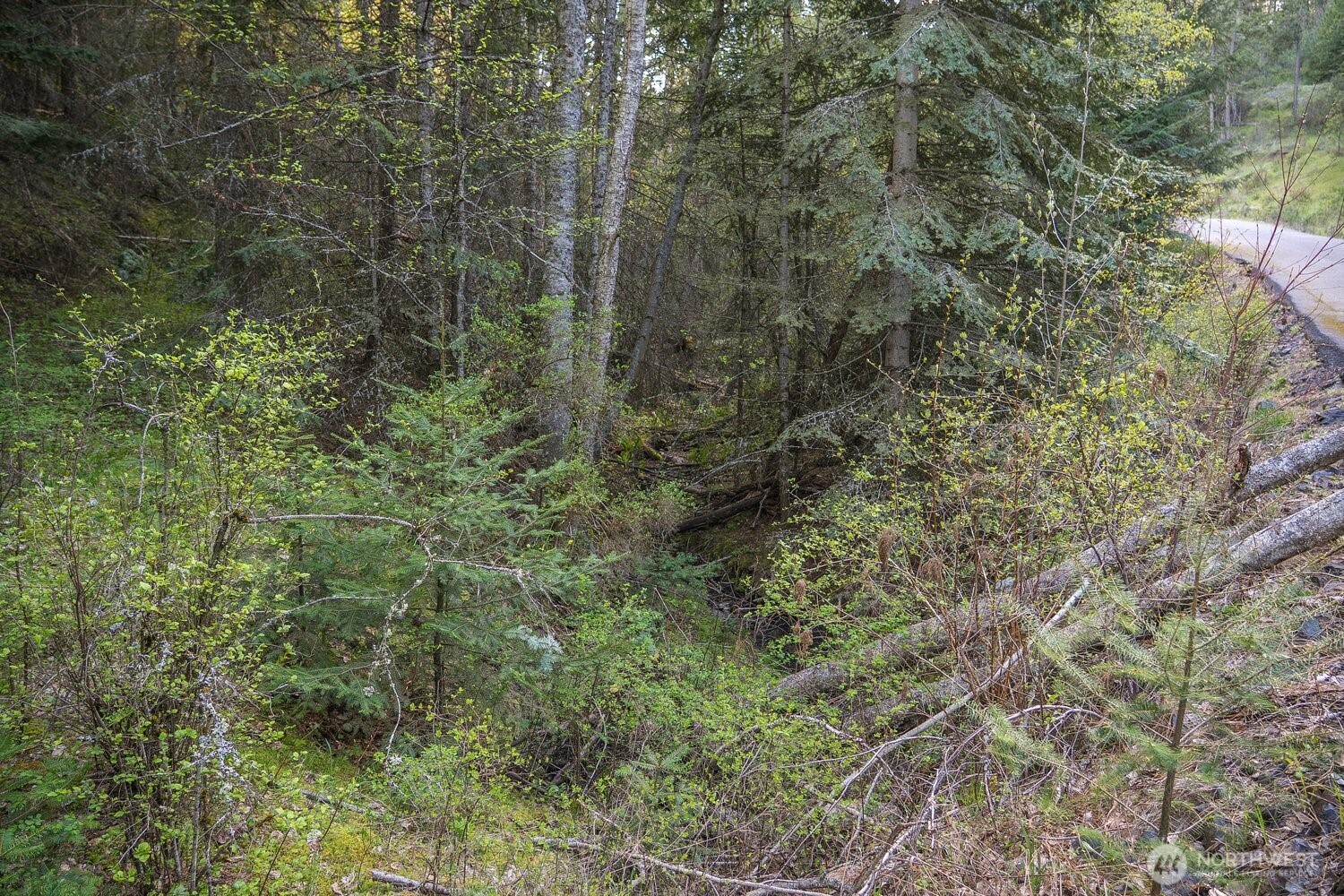 10610 Hallett Spokane WA 99206