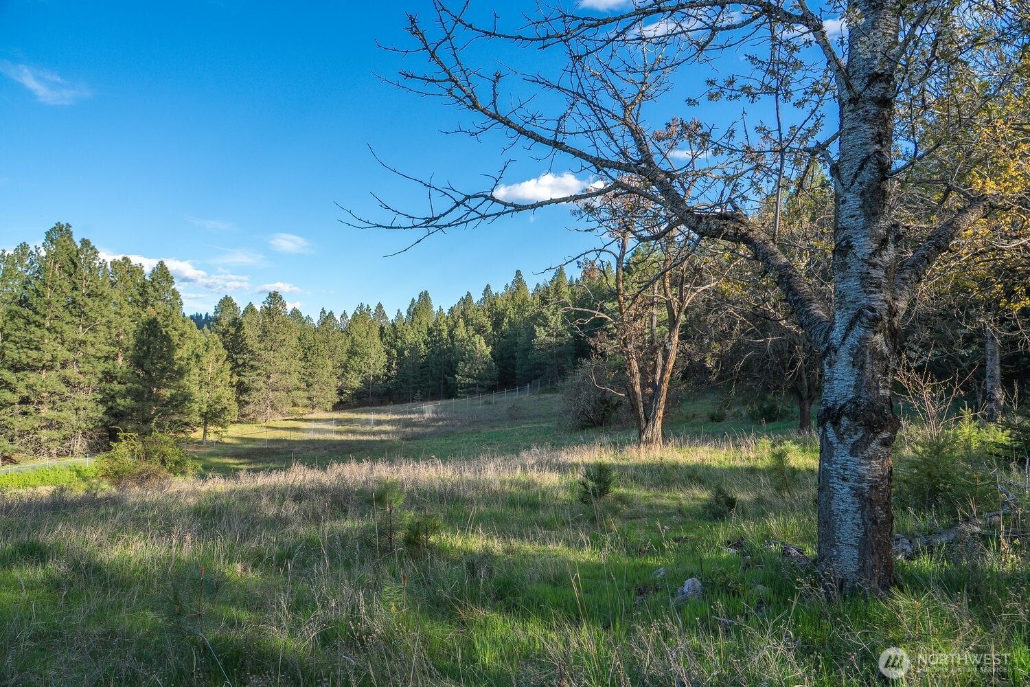 10610 Hallett Spokane WA 99206