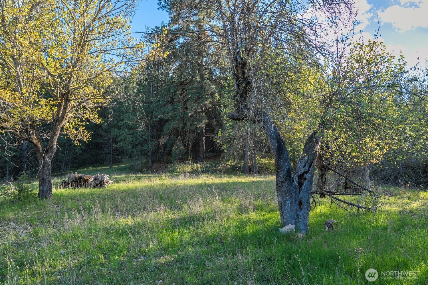 10610 Hallett Spokane WA 99206