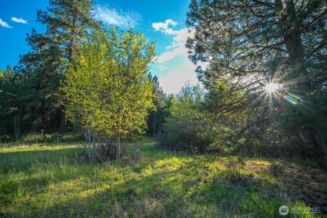 10610 Hallett Spokane WA 99206