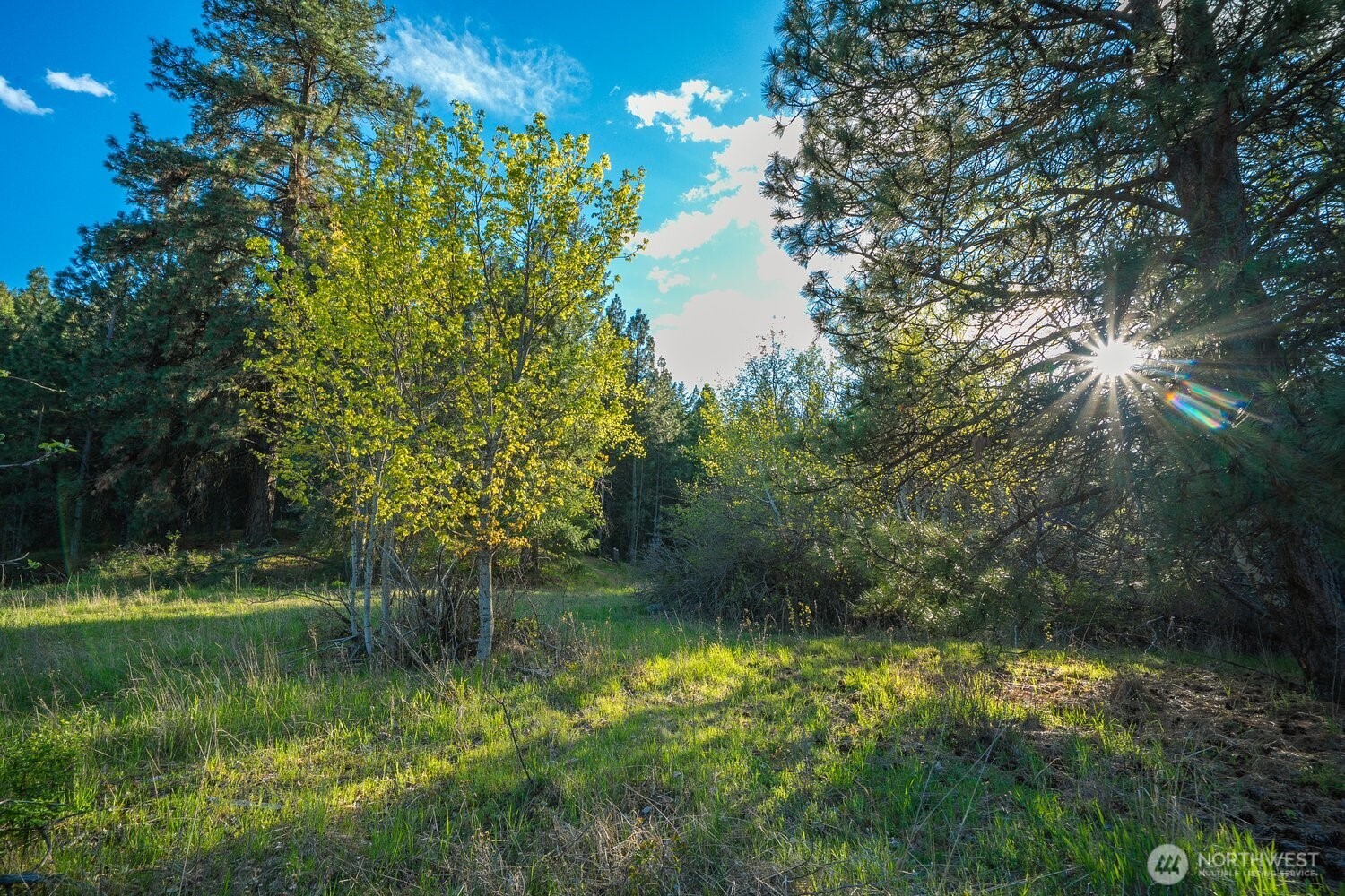 10610 Hallett Spokane WA 99206