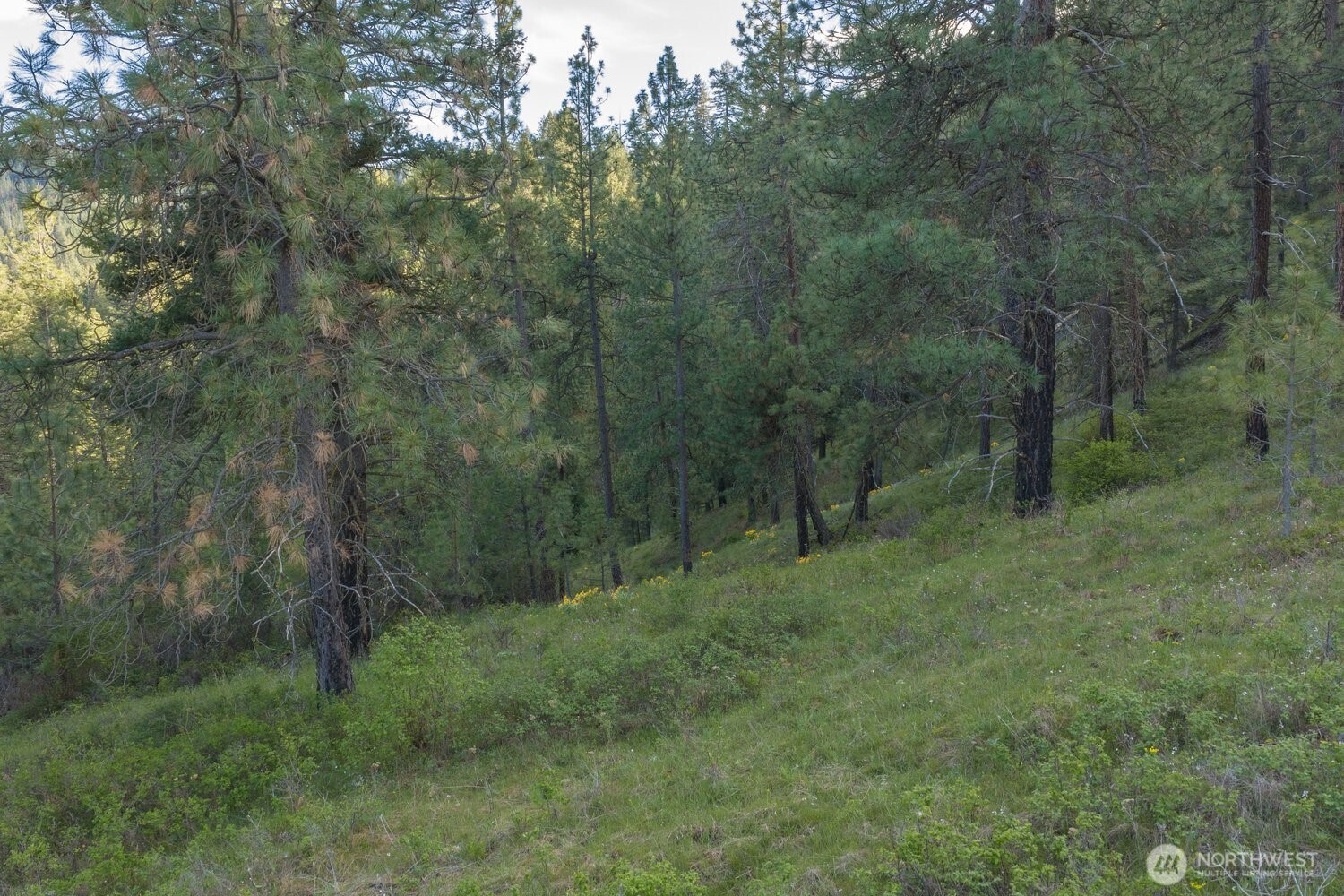10610 Hallett Spokane WA 99206
