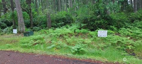 12721 100th Street Anderson Island WA 98303