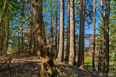 11 E Lake Sammamish Parkway NE Sammamish WA 98074