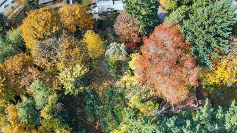 12117 SE 26th Street Bellevue WA 98005