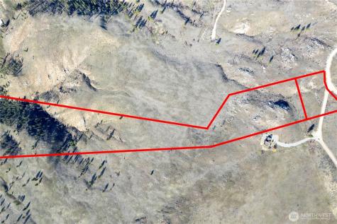 78 Lariat Loop Methow WA 98834
