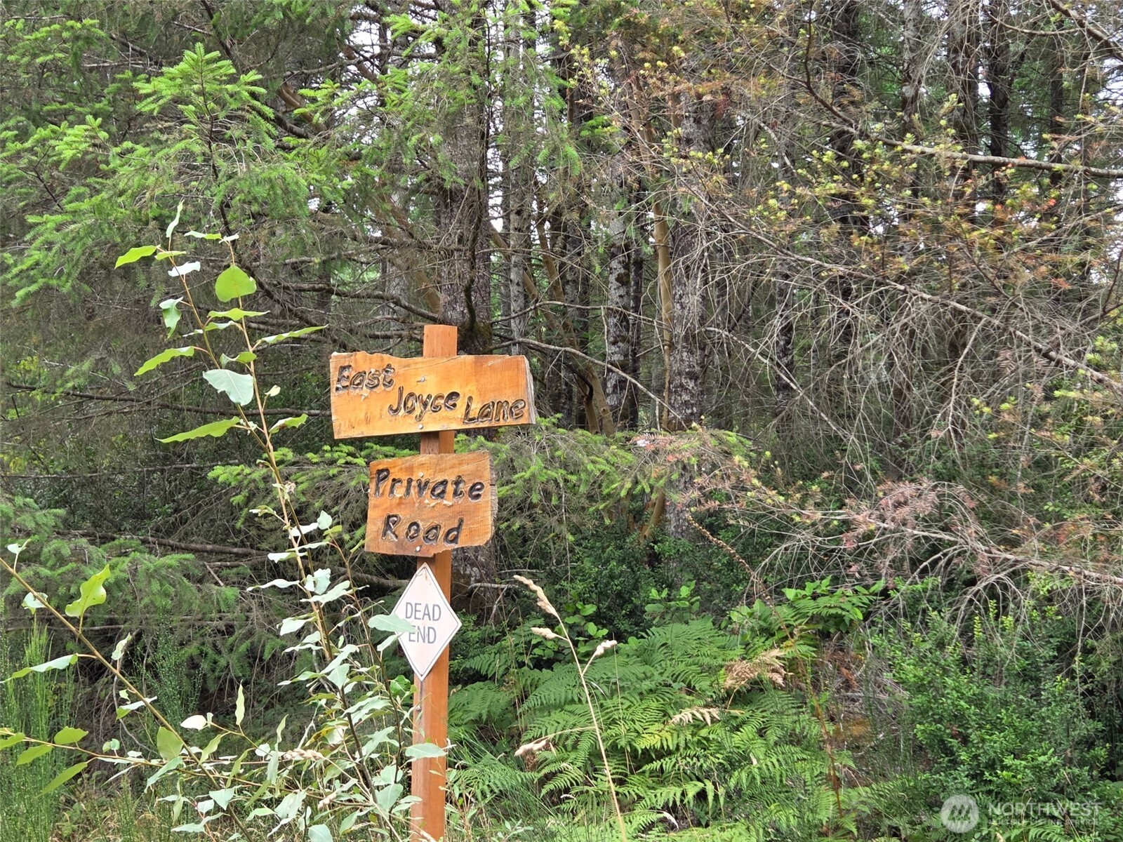 91 E Joyce Lane Belfair WA 98528