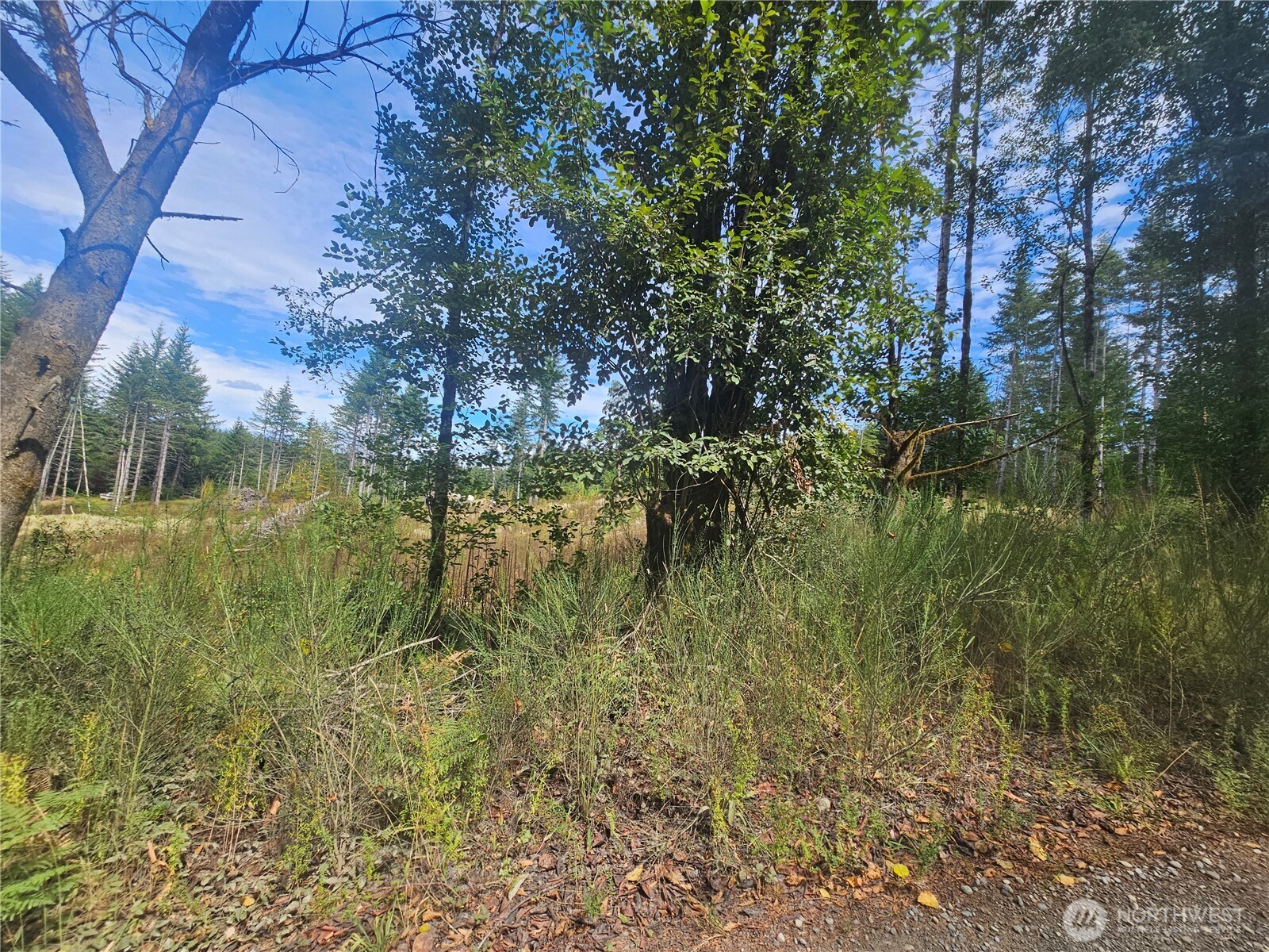 91 E Joyce Lane Belfair WA 98528