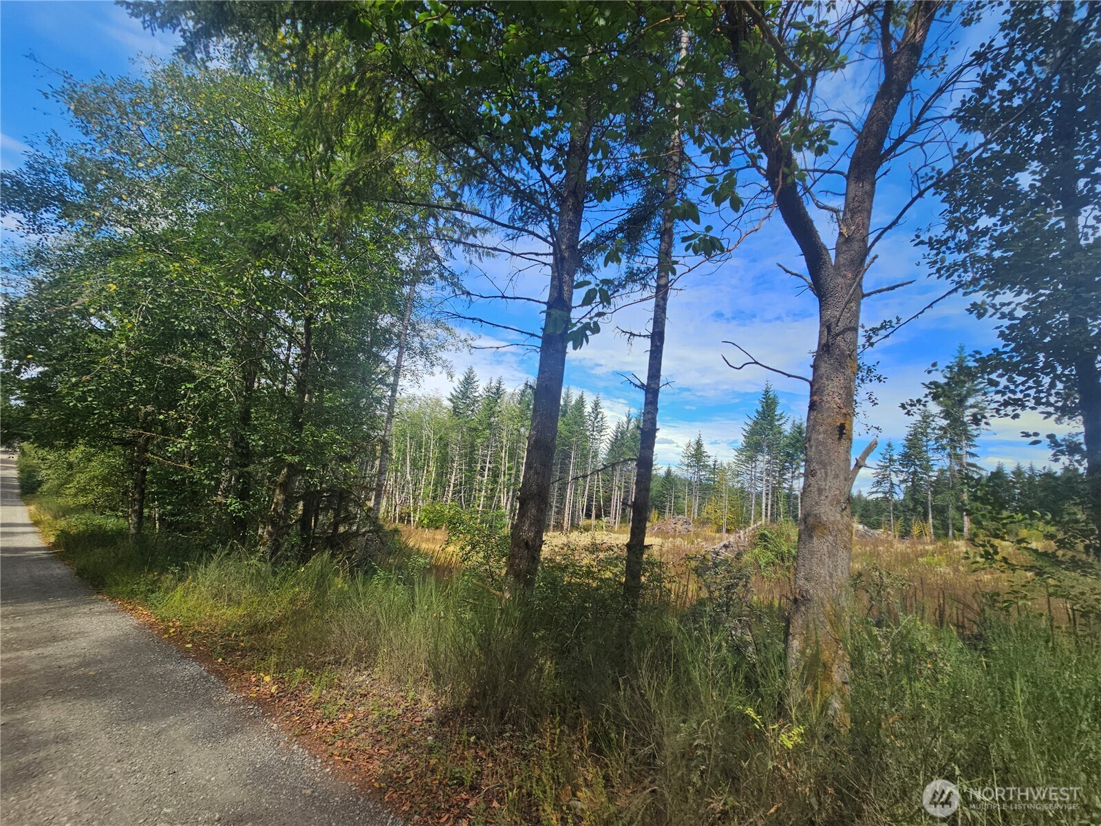 91 E Joyce Lane Belfair WA 98528