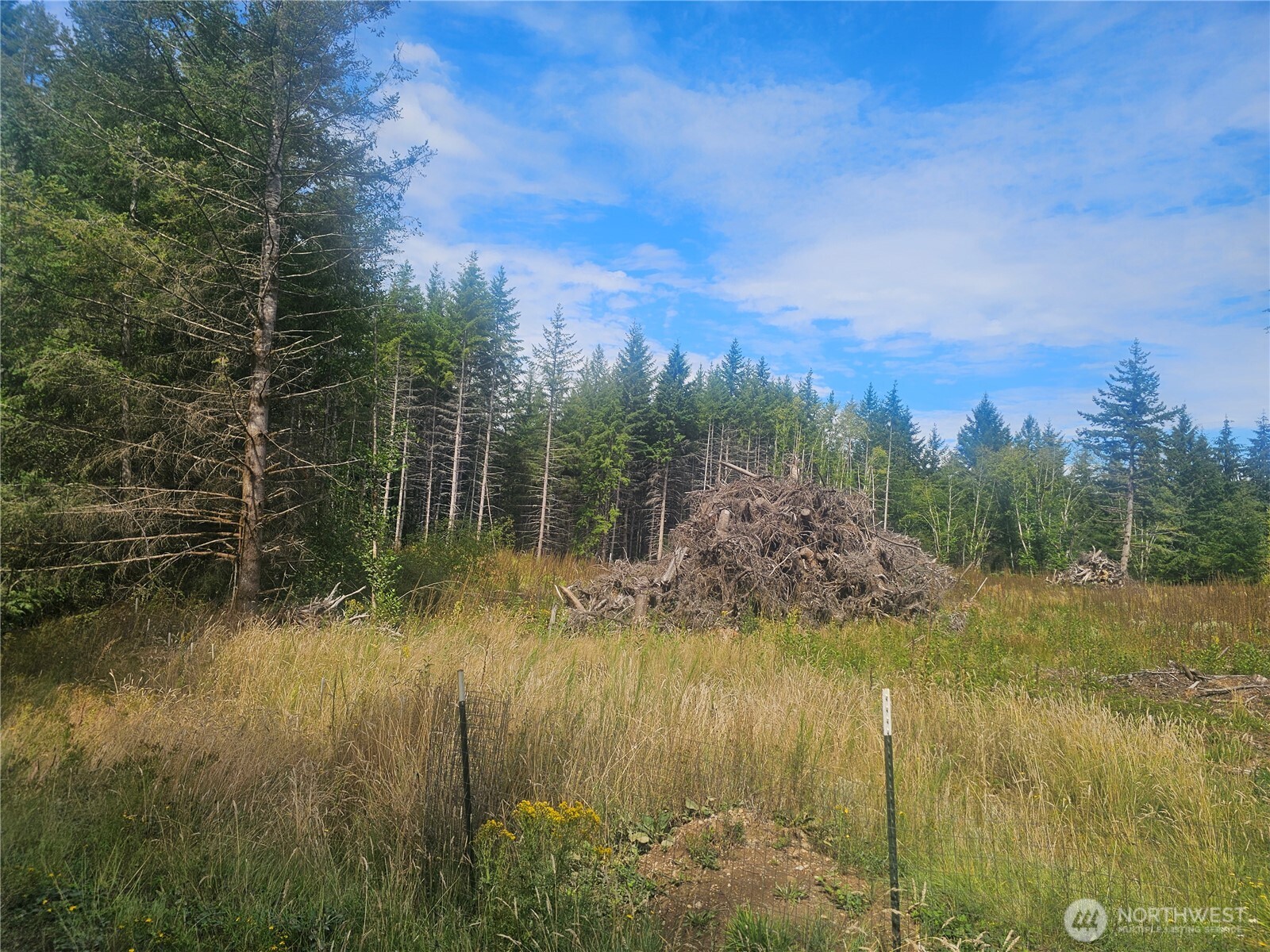 91 E Joyce Lane Belfair WA 98528