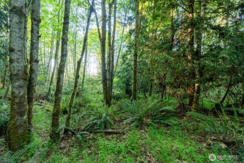 405 Elk Run Trail Port Angeles WA 98362