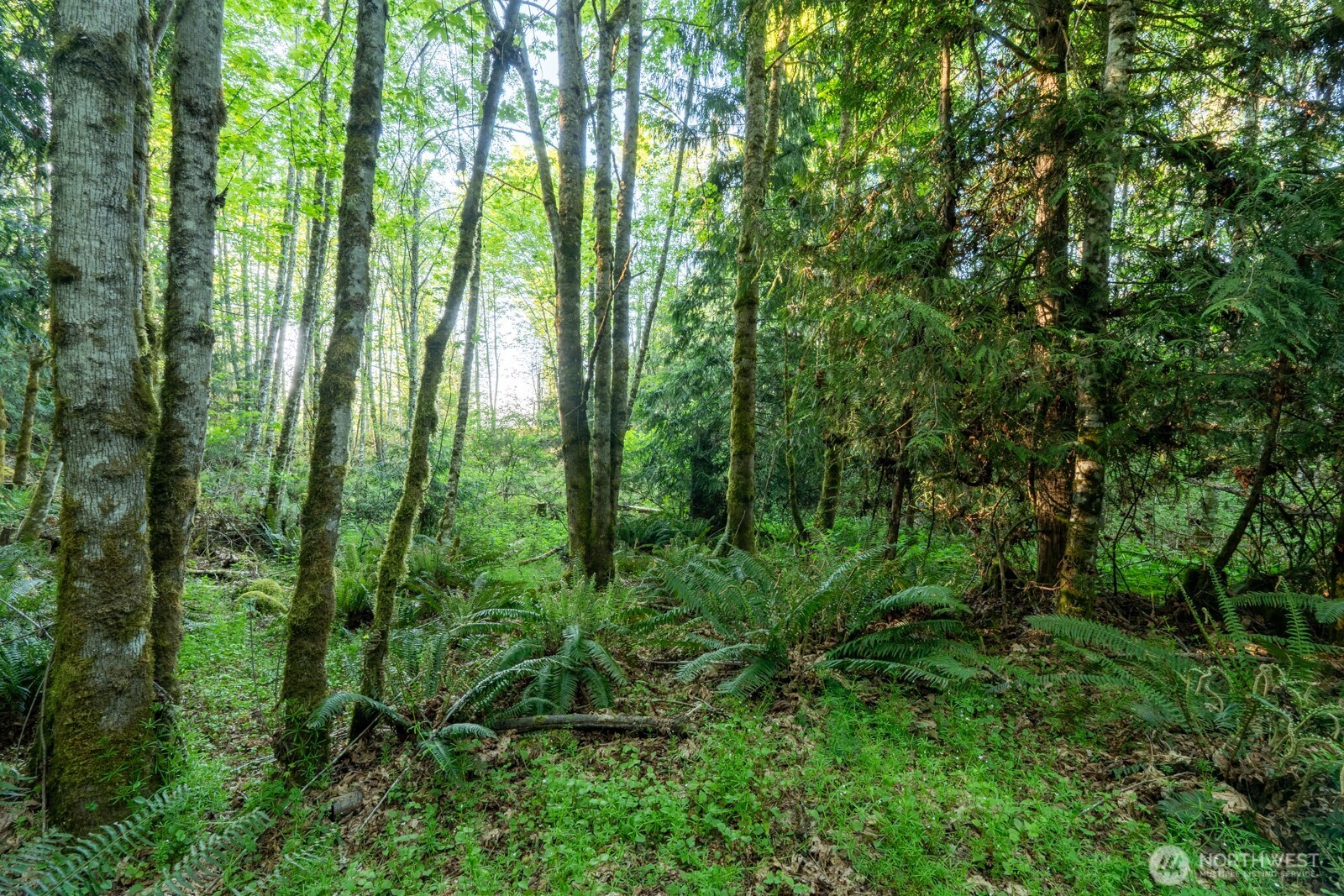 405 Elk Run Trail Port Angeles WA 98362