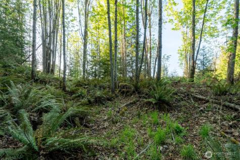 405 Elk Run Trail Port Angeles WA 98362