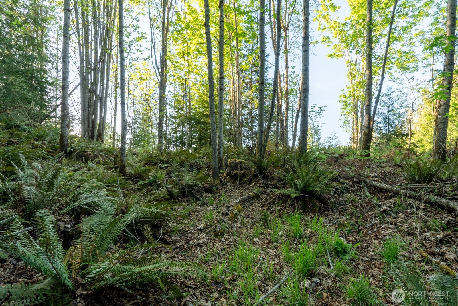 405 Elk Run Trail Port Angeles WA 98362