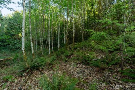 405 Elk Run Trail Port Angeles WA 98362