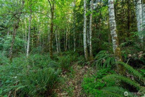 405 Elk Run Trail Port Angeles WA 98362