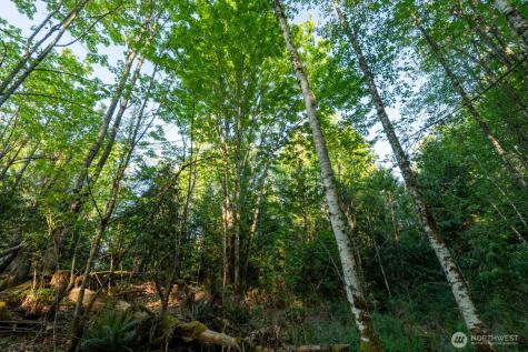405 Elk Run Trail Port Angeles WA 98362