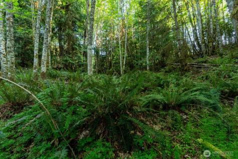 405 Elk Run Trail Port Angeles WA 98362