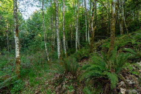 405 Elk Run Trail Port Angeles WA 98362