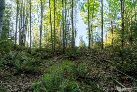 405 Elk Run Trail Port Angeles WA 98362