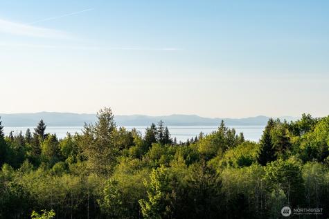 405 Elk Run Trail Port Angeles WA 98362